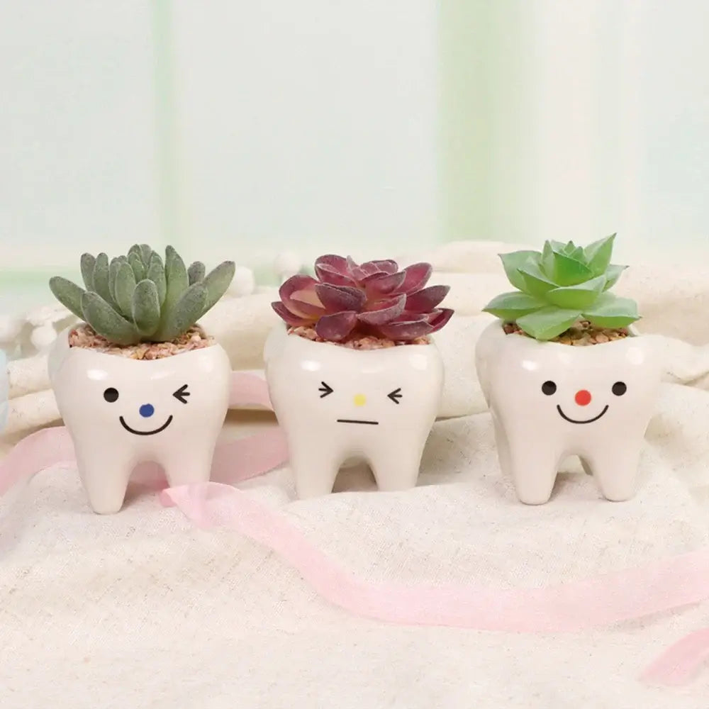 cute tooth flowerpots