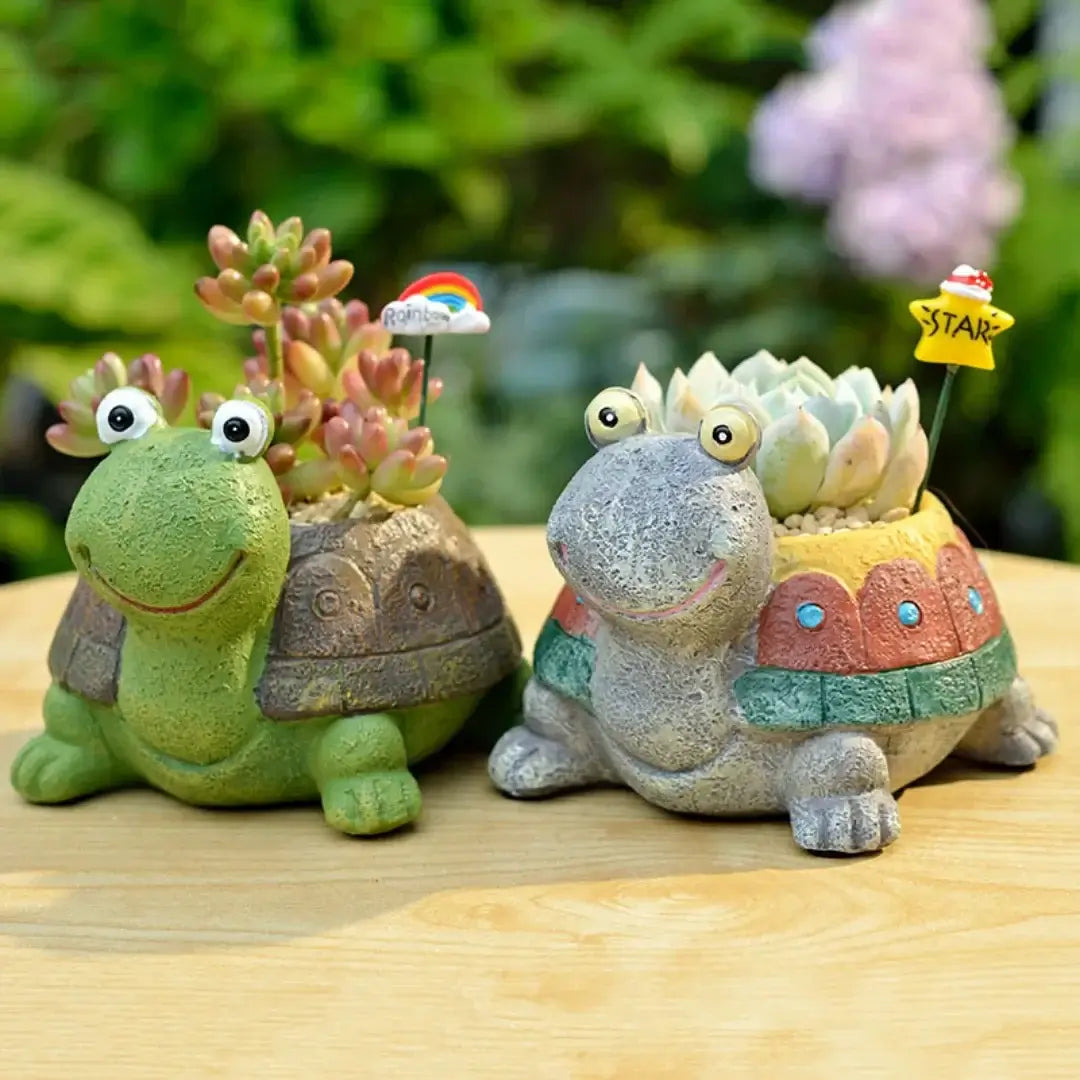 turtle succulent flowerpot