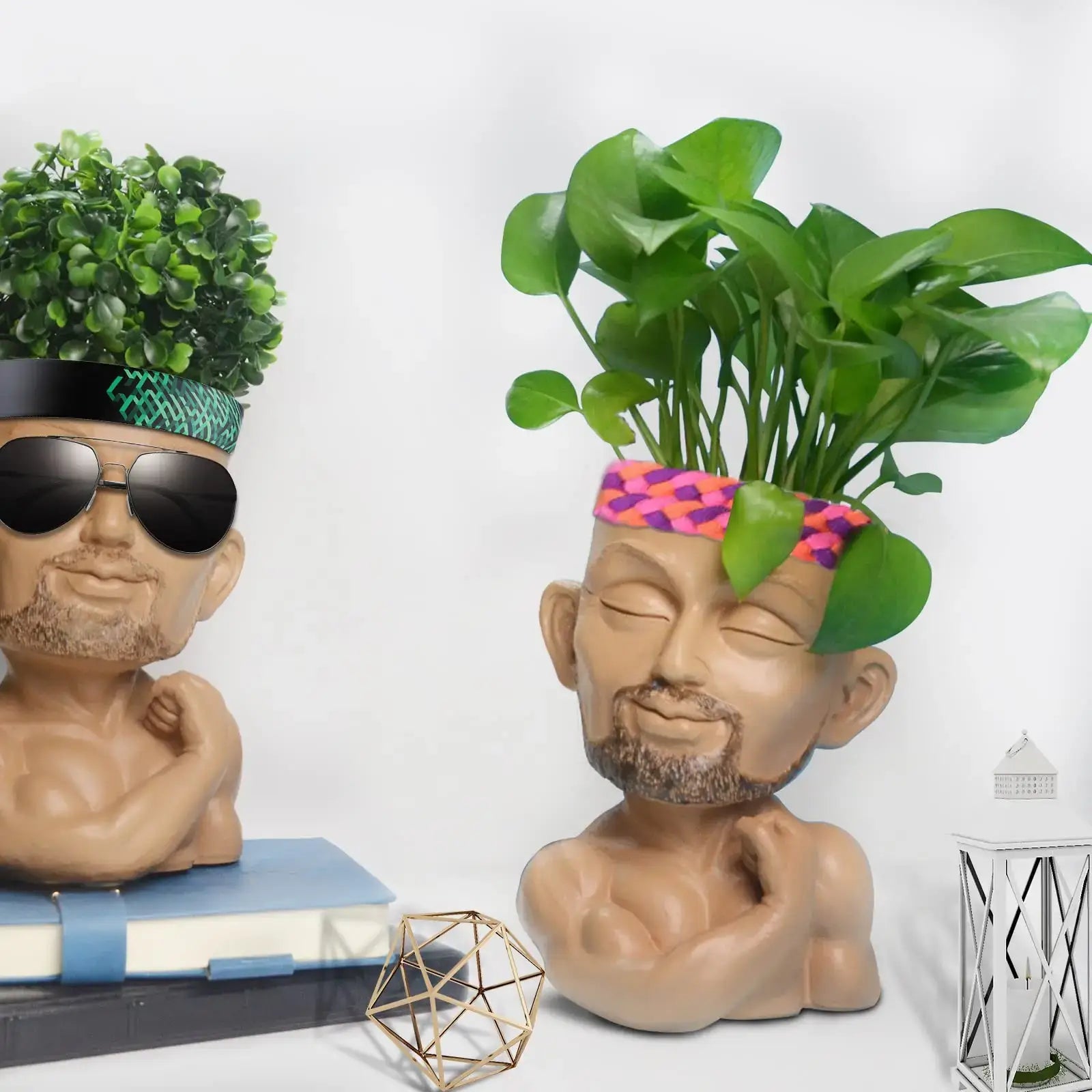 face flower pot succulent planter