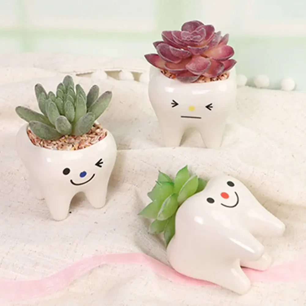 cute tooth flowerpots