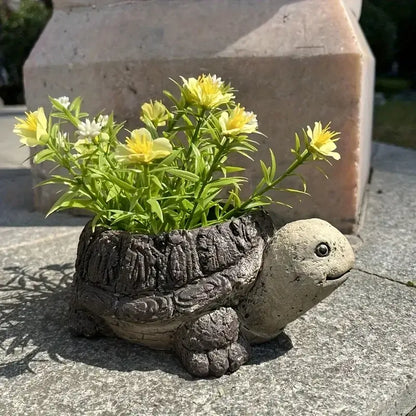 turtle succulent flower pot