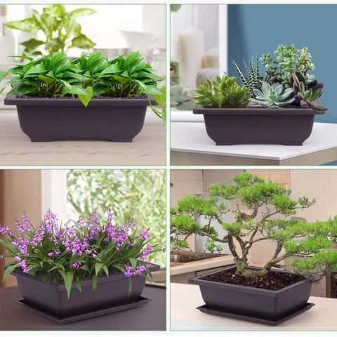 Training Pots With Tray Plastic Bonsai Plants Pot Square For Flower.