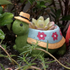 cute turtle flower pot planter