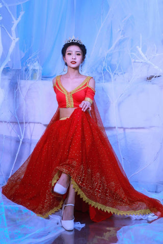 Elsa Princess Costume Belly Dance Outfit Party Cosplay Red.