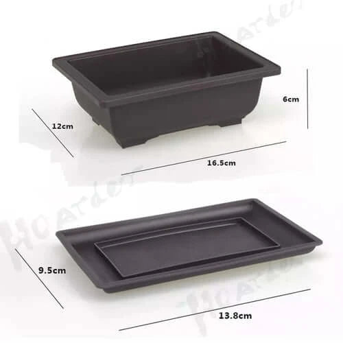 Training Pots With Tray Plastic Bonsai Plants Pot Square For Flower