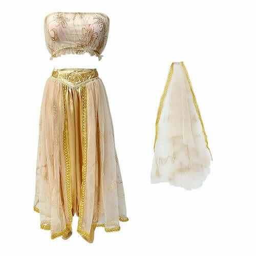 Golden Egyptian Princess Costume Elegant Sparkling Fabric Outfit.