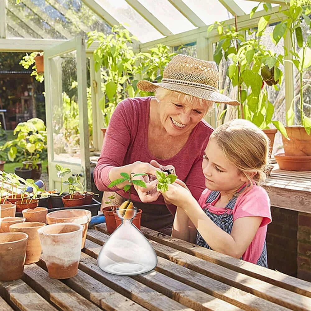 Seed Vase Avocado Seed Starter Vase Plant Vase for Growing Avocado