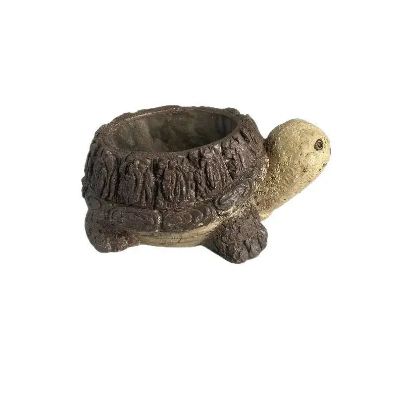 turtle succulent flower pot