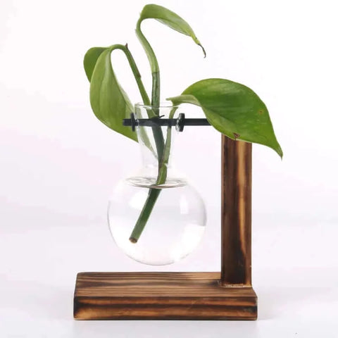 Hydroponic Plant Terrarium Vasevase Decoration Home Glass Bottle.