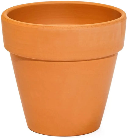2 inch terra cotta pots