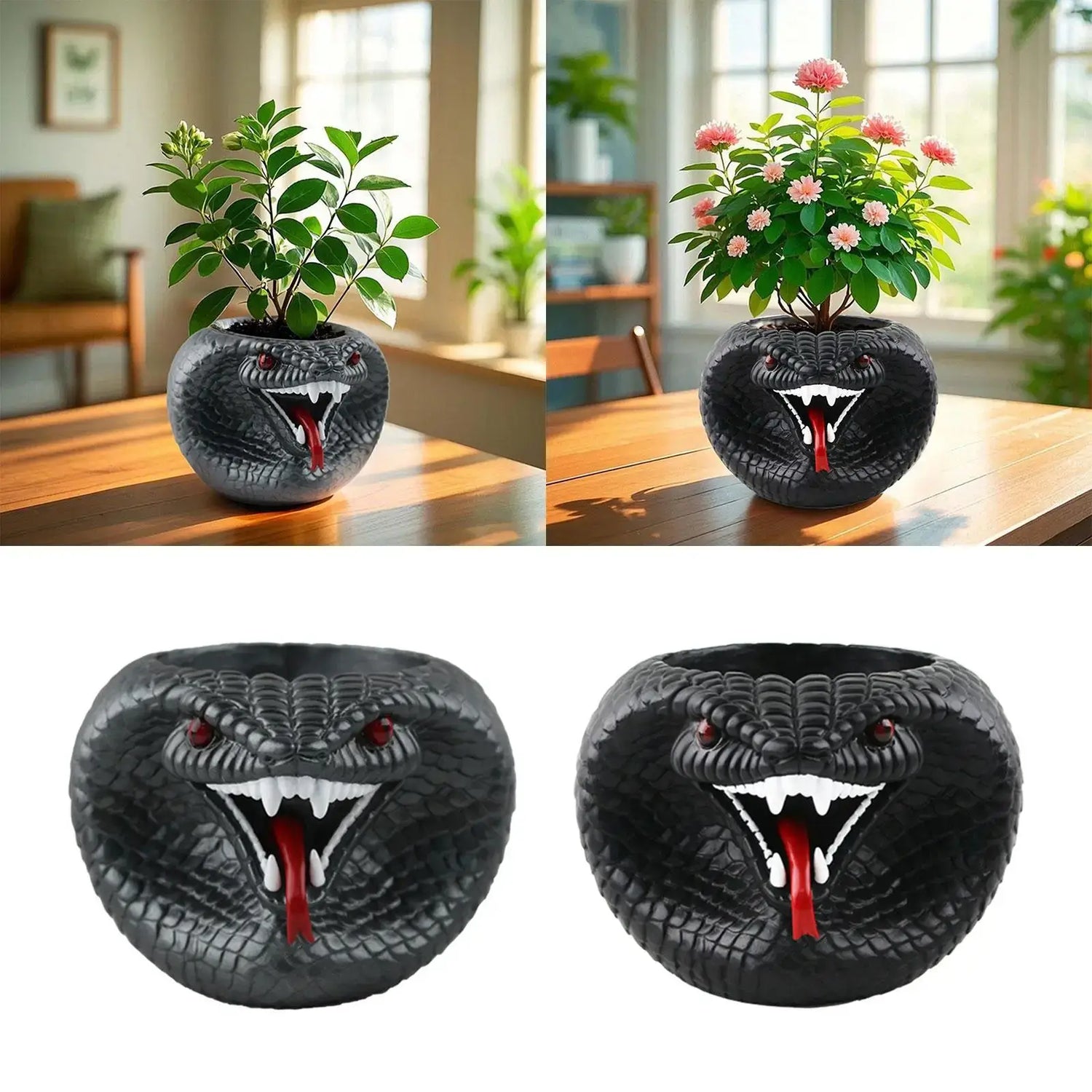 resin succulent planter