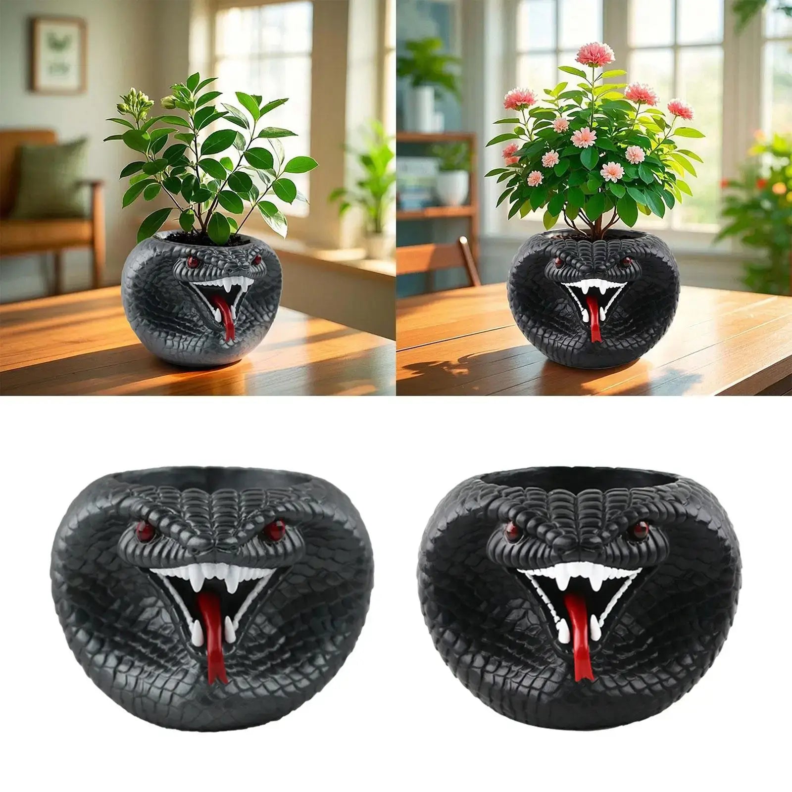 resin succulent planter