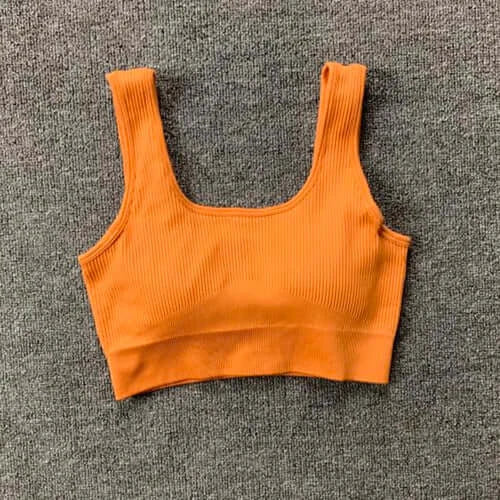 Women Seamless Yoga Set Gym Workout Clothes for Female Push Up Bra