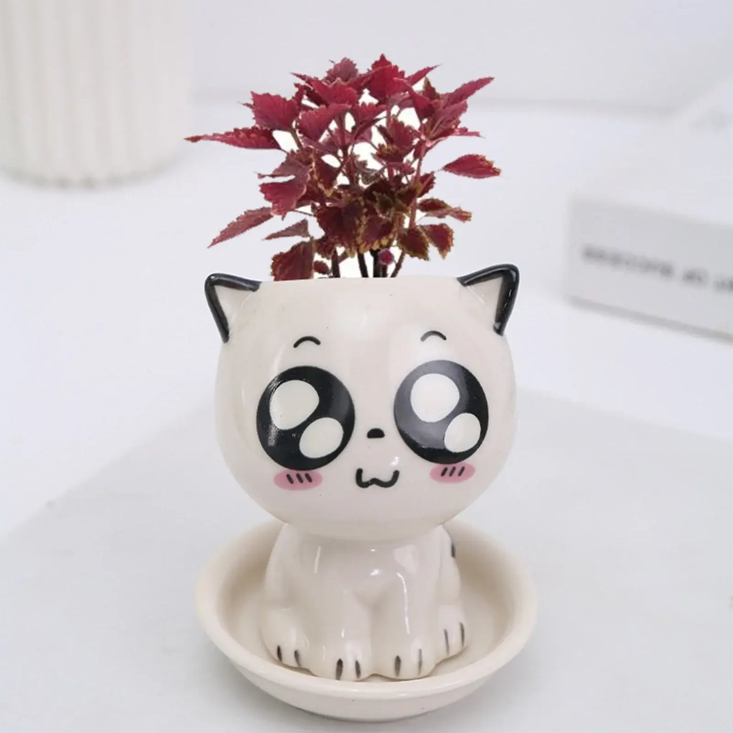 cat shaped succulent pot