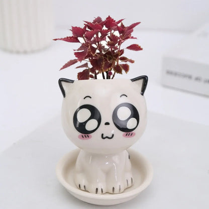 cat shaped succulent pot