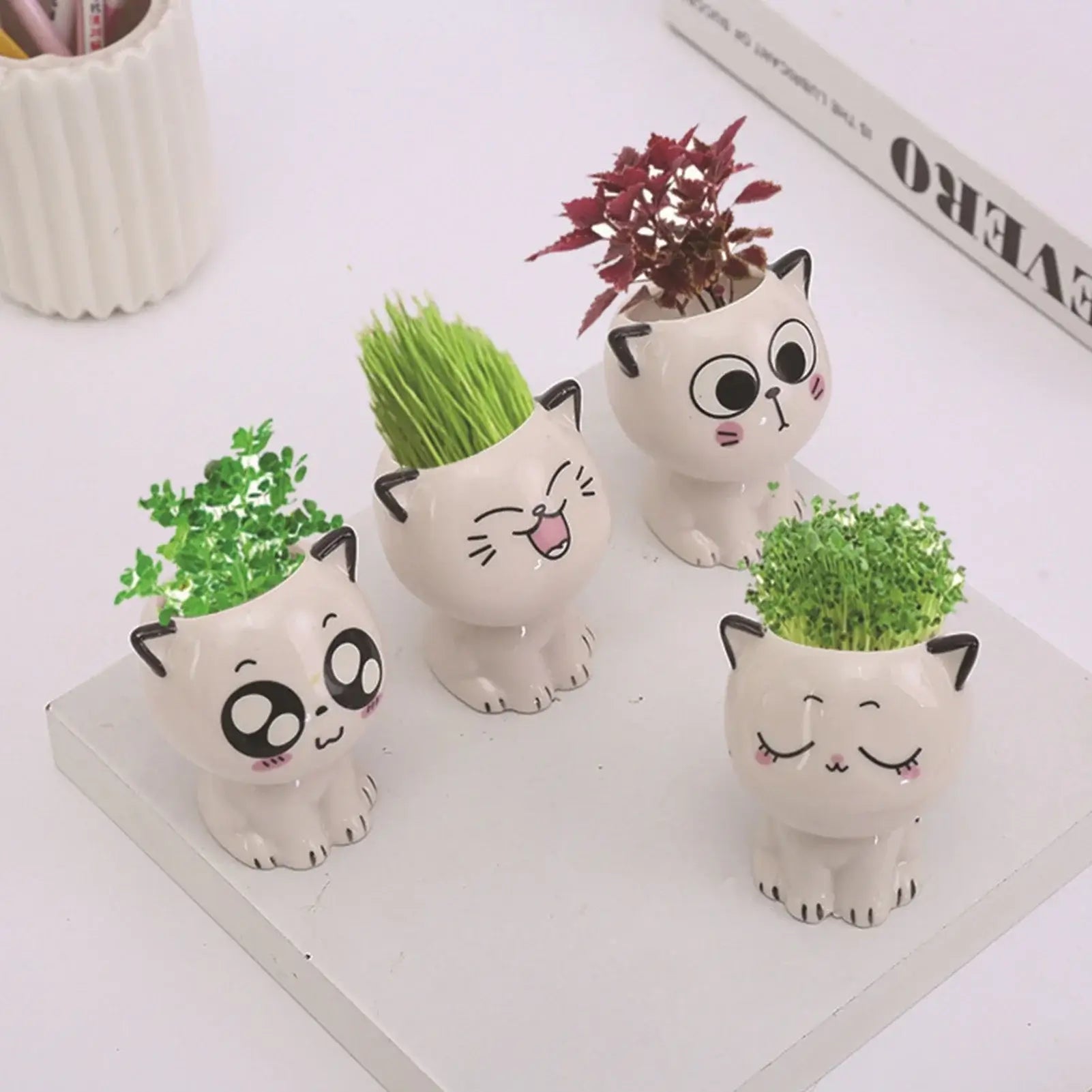 cat shaped succulent pot