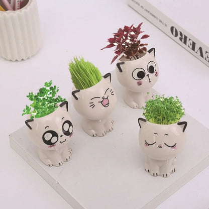 cat shaped succulent pot