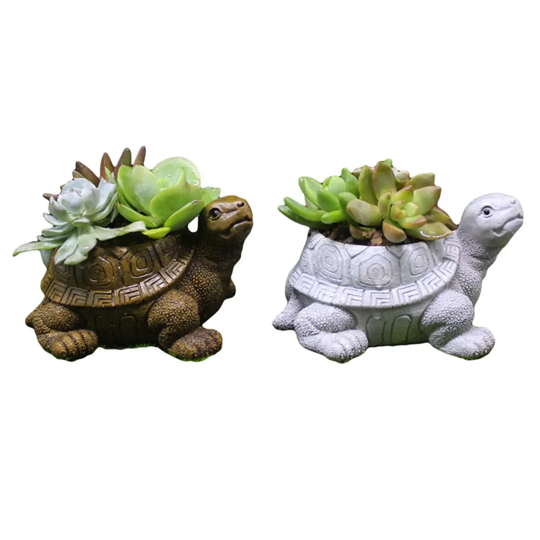 turtle planter pot