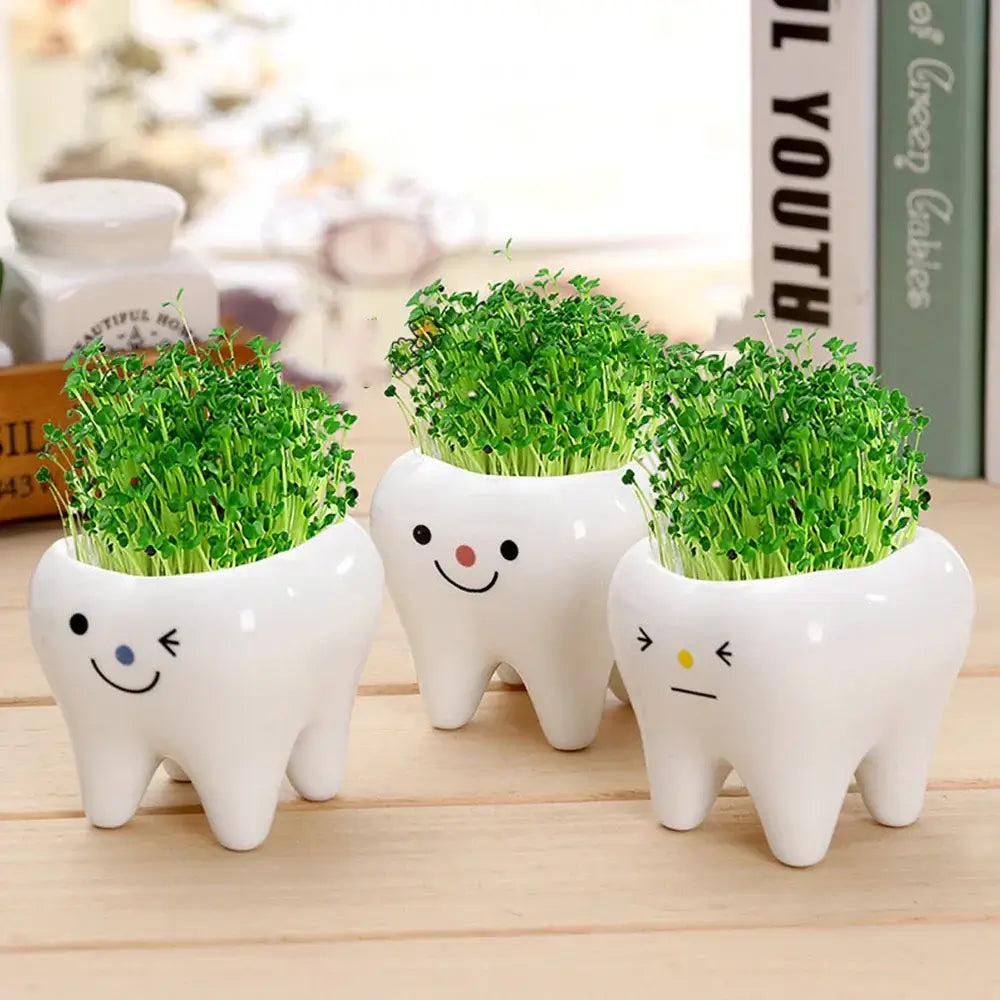 cute tooth flowerpots