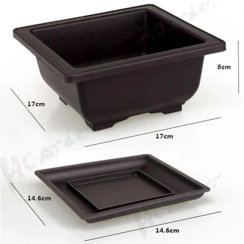 Training Pots With Tray Plastic Bonsai Plants Pot Square For Flower.