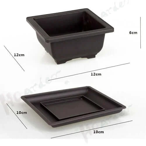 Training Pots With Tray Plastic Bonsai Plants Pot Square For Flower