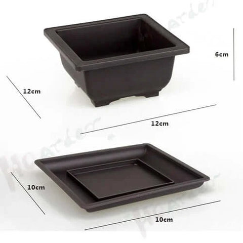 Training Pots With Tray Plastic Bonsai Plants Pot Square For Flower.