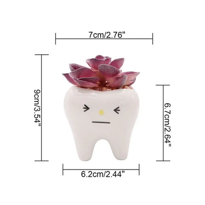 cute tooth flowerpots