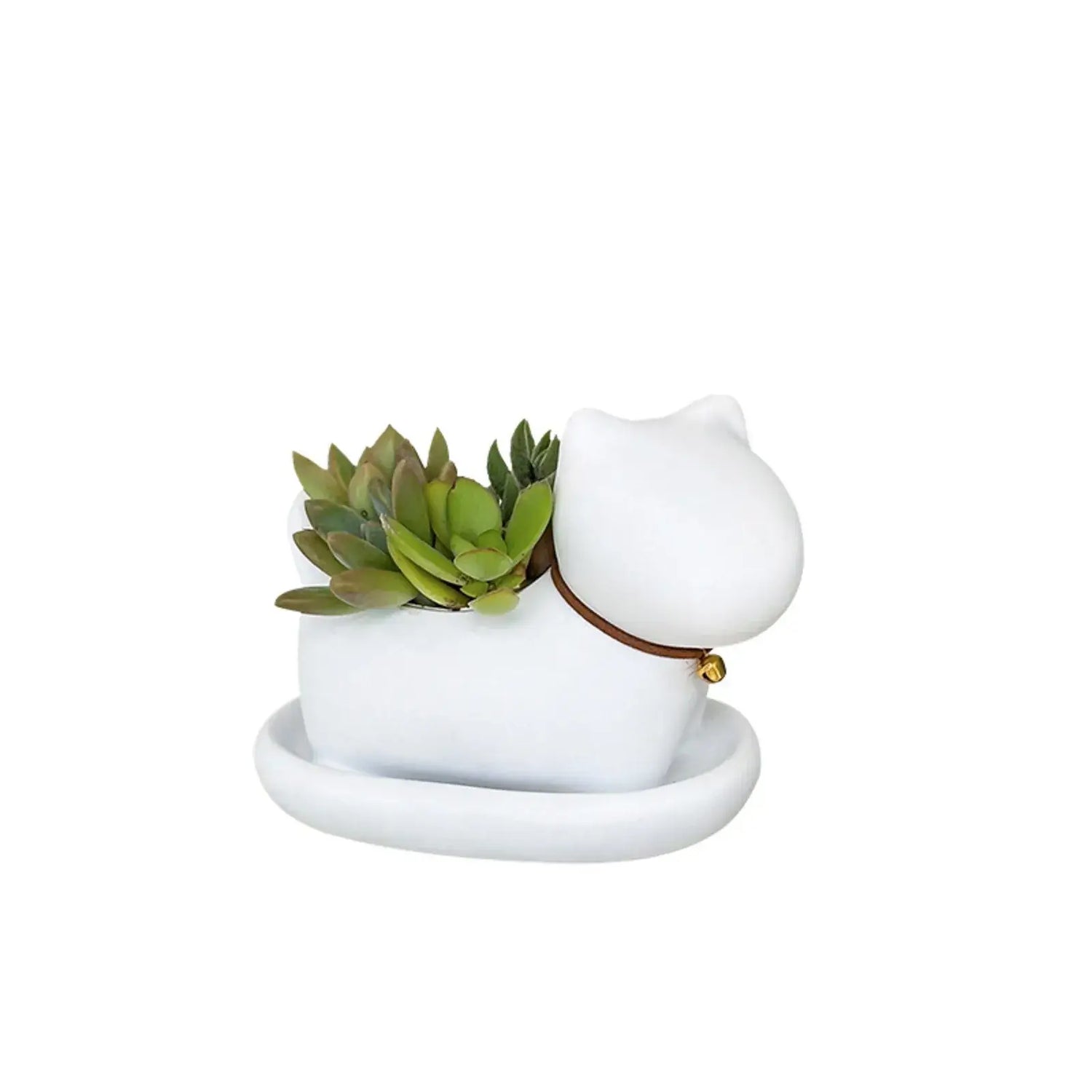 cute cat succulent plant pots