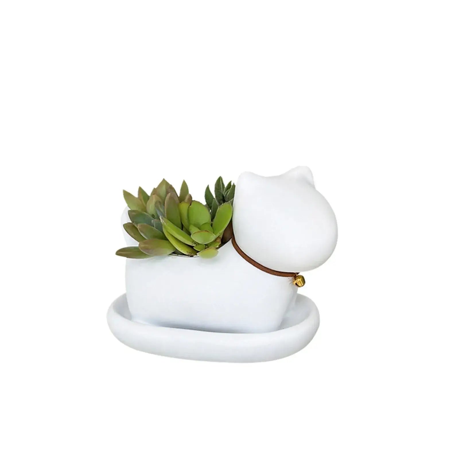 cute cat succulent plant pots