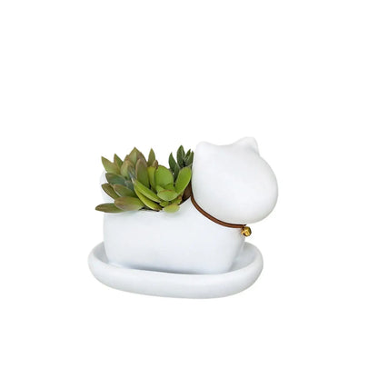 cute cat succulent plant pots