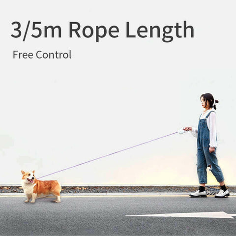 Automatic Retractable Lighting Dog Leash.