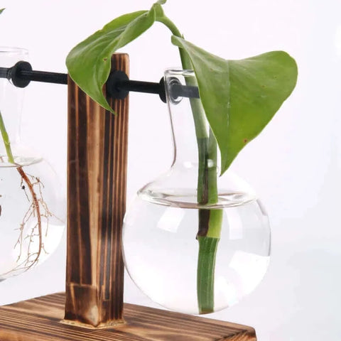 Hydroponic Plant Terrarium Vasevase Decoration Home Glass Bottle.