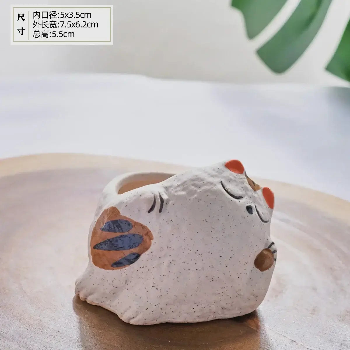 fortune cat succulent flower pot