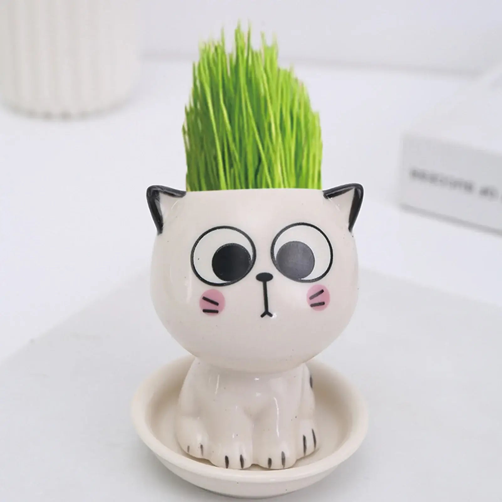 cat shaped succulent pot