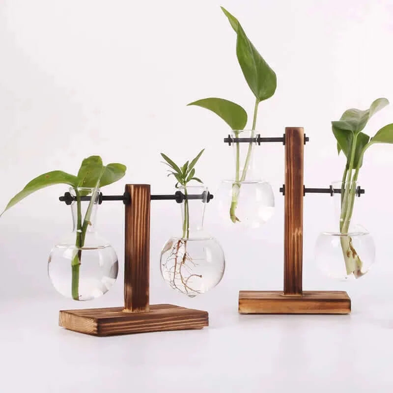 Hydroponic Plant Terrarium Vasevase Decoration Home Glass Bottle.