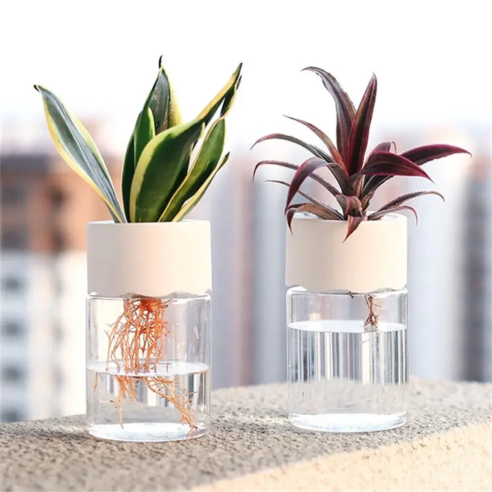 mini hydroponic flower pot