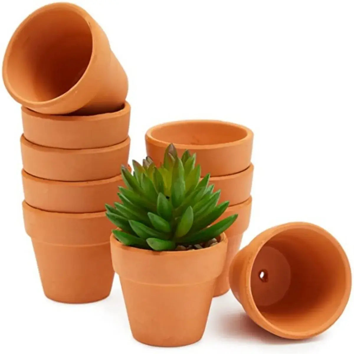 terra cotta pots for succulents