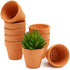 terra cotta pots for succulents