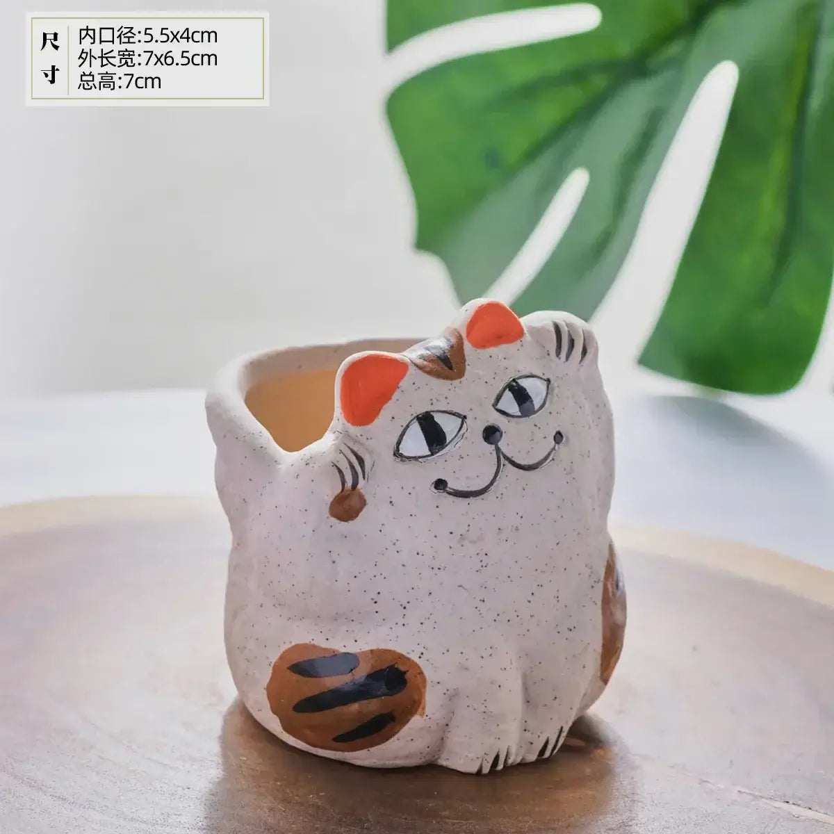 fortune cat succulent flower pot