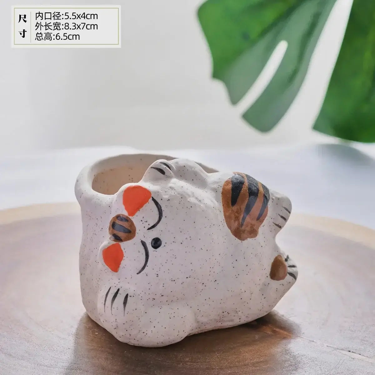 fortune cat succulent flower pot