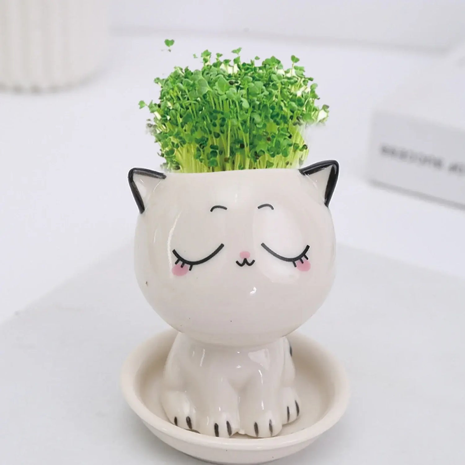 cat shaped succulent pot