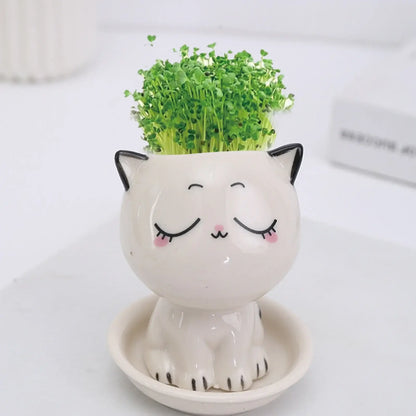cat shaped succulent pot