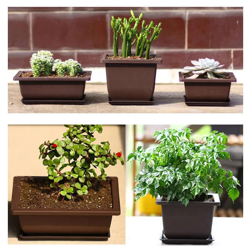 Training Pots With Tray Plastic Bonsai Plants Pot Square For Flower.