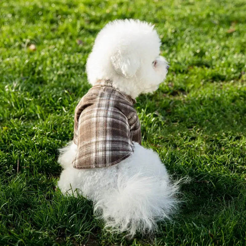 Stylish Summer Pet Shirt for Small Dogs