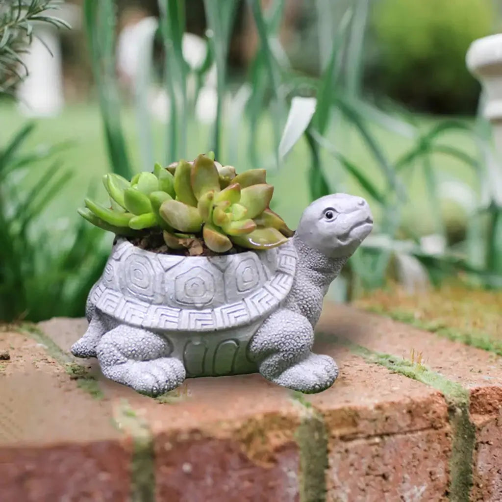 turtle planter pot
