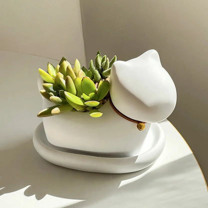 cute cat succulent plant pots