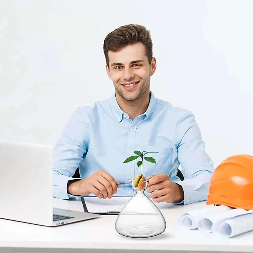 Seed Vase Avocado Seed Starter Vase Plant Vase for Growing Avocado