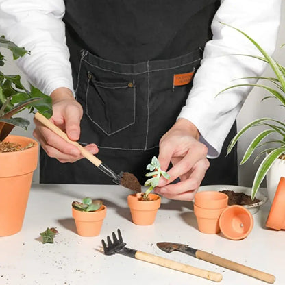 terra cotta pots for succulents