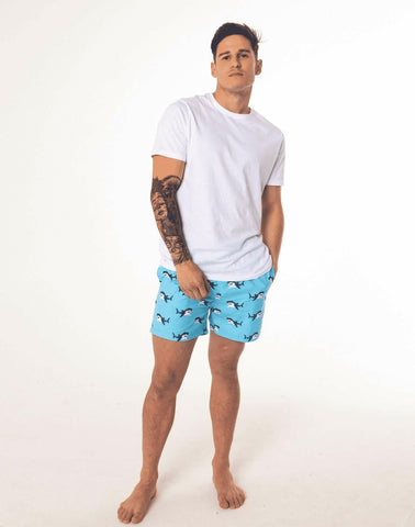 Whaleshark Swim Shorts.