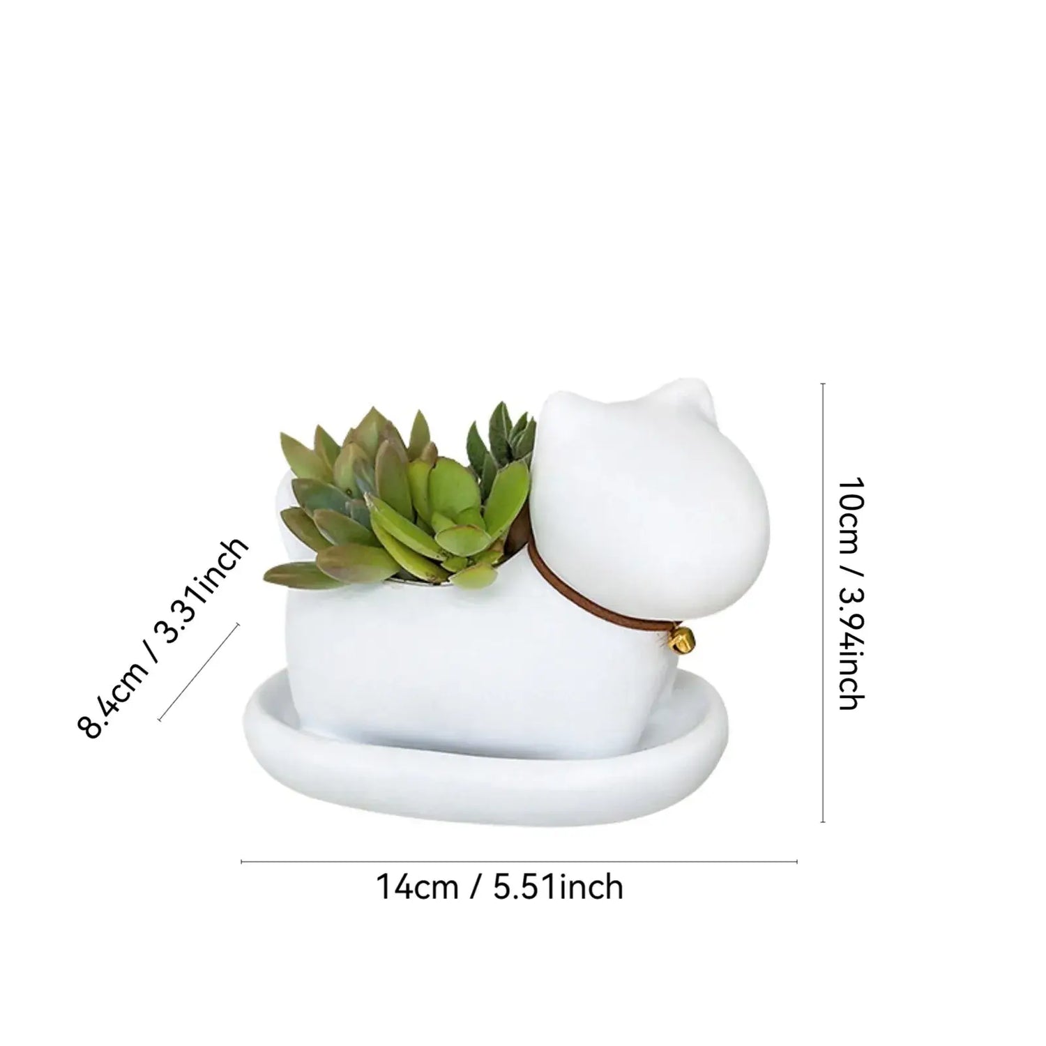 cute cat succulent plant pots